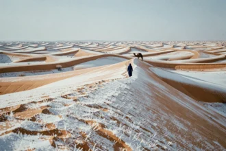 Désert marocain en hiver avec dunes de sable recouvertes de neige et nomade berbère en djellaba indigo